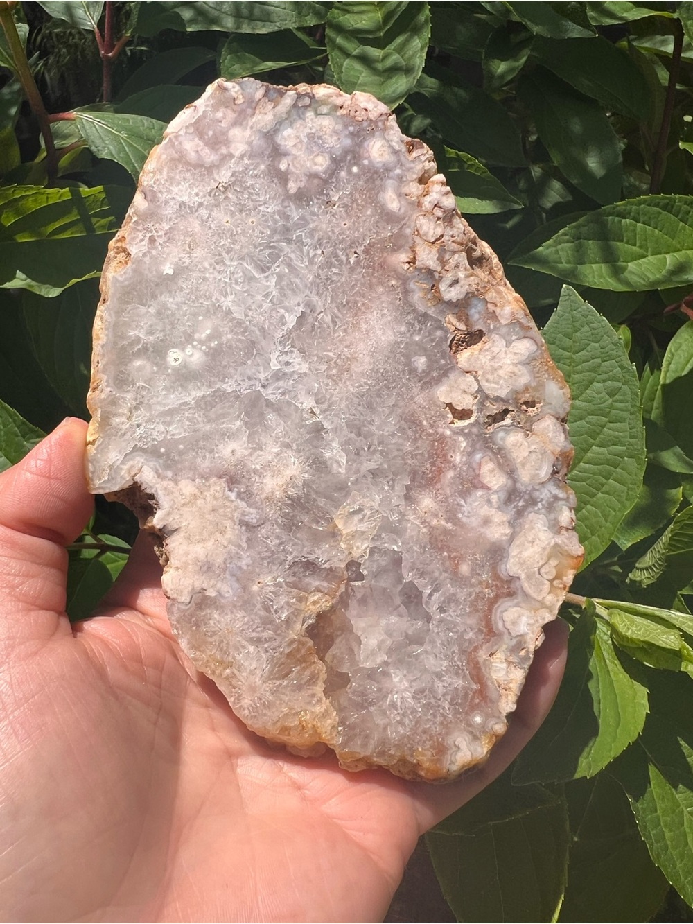 Pink (2) flower agate slab with stand | crystal